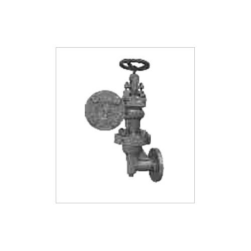 Sant Cast Iron Accessible Feed Check Valve Renewable Disc 65 mm, CI 5D